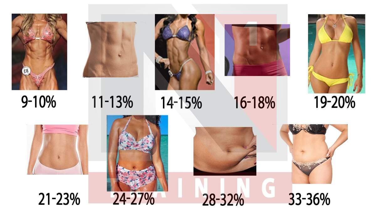 Self Assessing Body Composition N1 Training