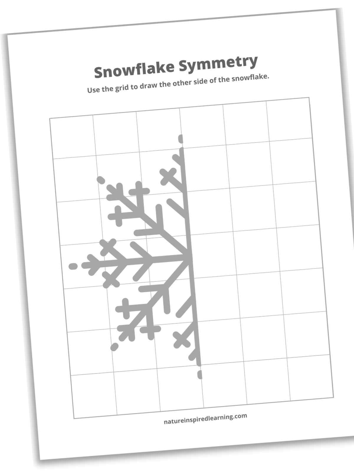 Snowflake Symmetry Worksheets Nature Inspired Learning Christmas Reflections Worksheet Fun And Engaging PDF Worksheets