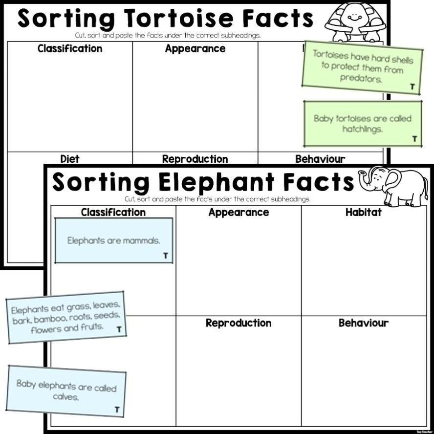 Sorting Animal Facts Information Report Worksheets Top Teacher Printable Classification Of Animals Worksheet For Grade 1 2 3 Made By Teachers