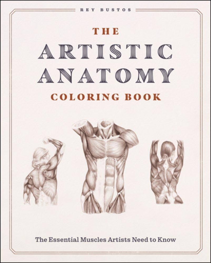 The Artistic Anatomy Coloring Book The Essential Muscles Artists Need To Know Bustos Rey 9798888143261 Amazon Books The Artistic Anatomy Coloring Book The Essential Muscles Artists Need To Know Bustos Rey 9798888143261 Amazon Books