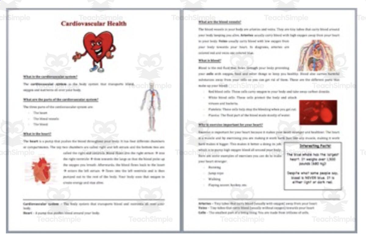 The Cardiovascular System Reading Comprehension Article By Teach Simple The Circulatory System Reading Comprehension Passages Questions Worksheets Teaching Resources