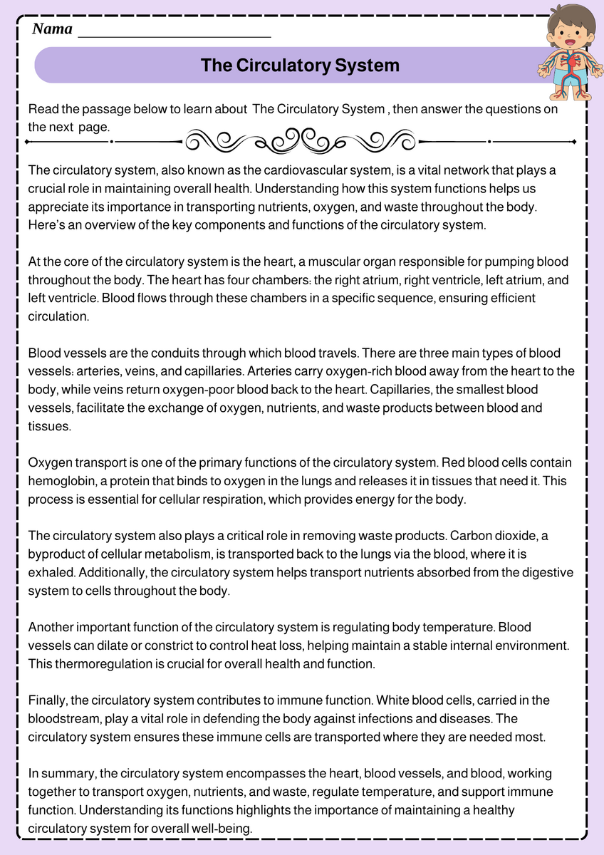 The Circulatory System Reading Comprehension Passages Questions Worksheets Teaching Resources The Circulatory System Reading Comprehension Passages Questions Worksheets Teaching Resources