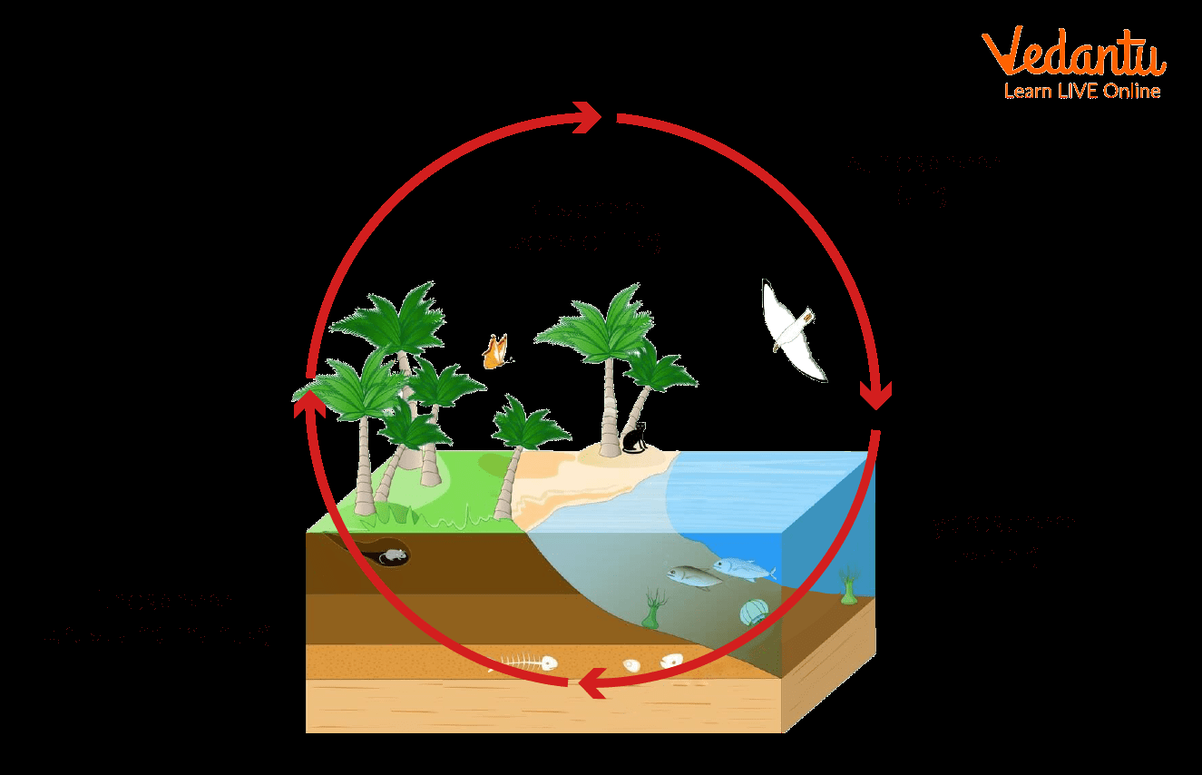 Types Of Environment Natural And Artificial Explained With Examples Types Of Environment Natural And Artificial Explained With Examples