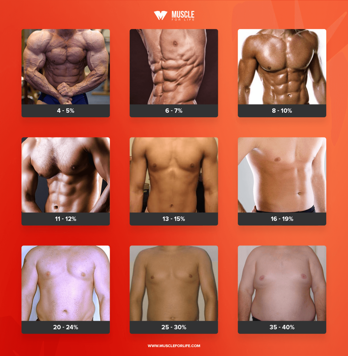 Understanding Body Fat Percentages For Women A Visual Guide
