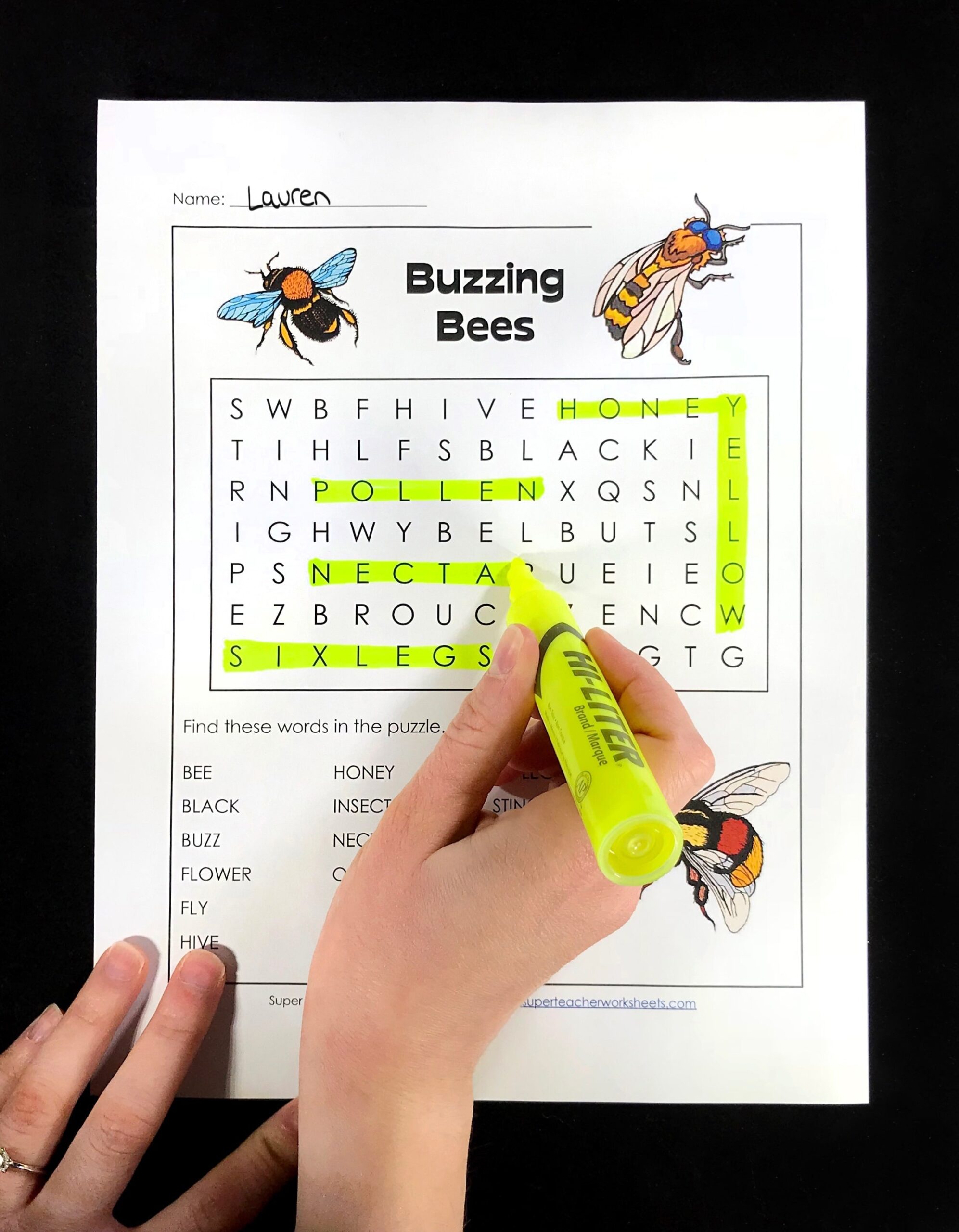 Word Search Activity Word Search Activity