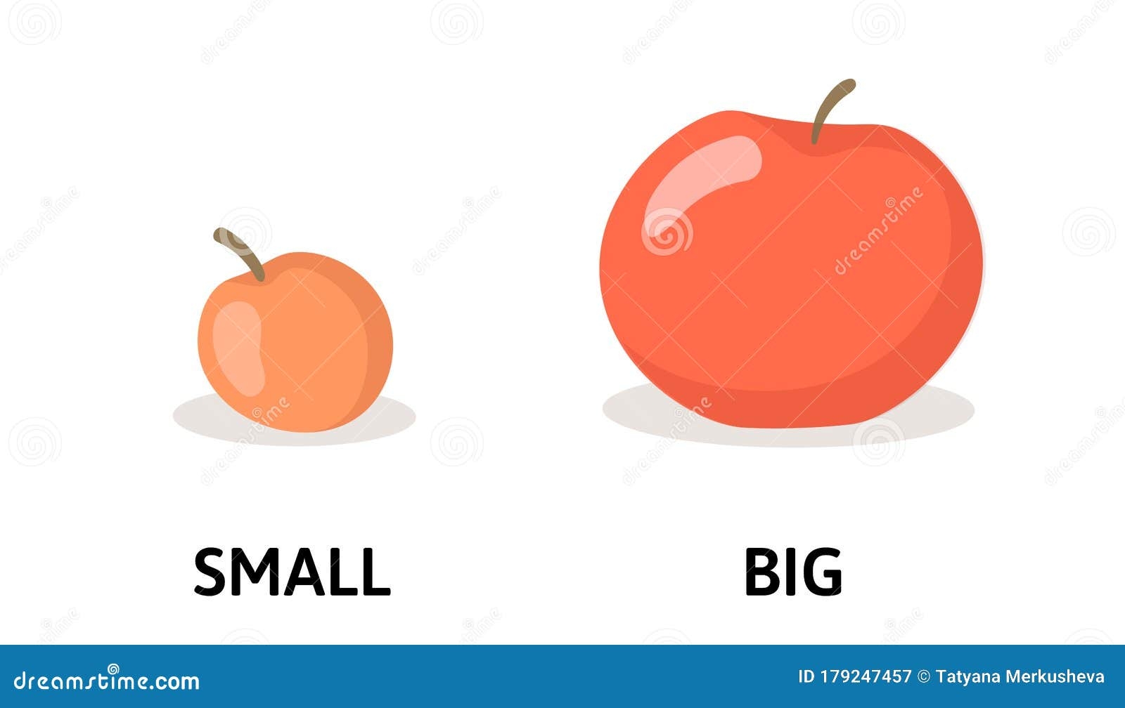 Words Small And Big Flashcard With Cartoon Red Apple Opposite Adjectives Explanation Card Flat Vector Illustration Stock Vector Illustration Of Explain High 179247457