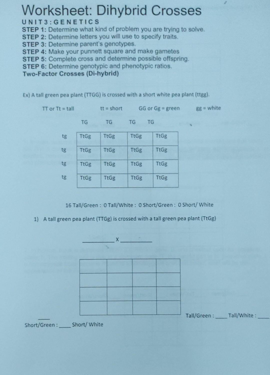 Worksheet Dihybrid Crosses UNIT 3 GENETICS STEP 1 Chegg