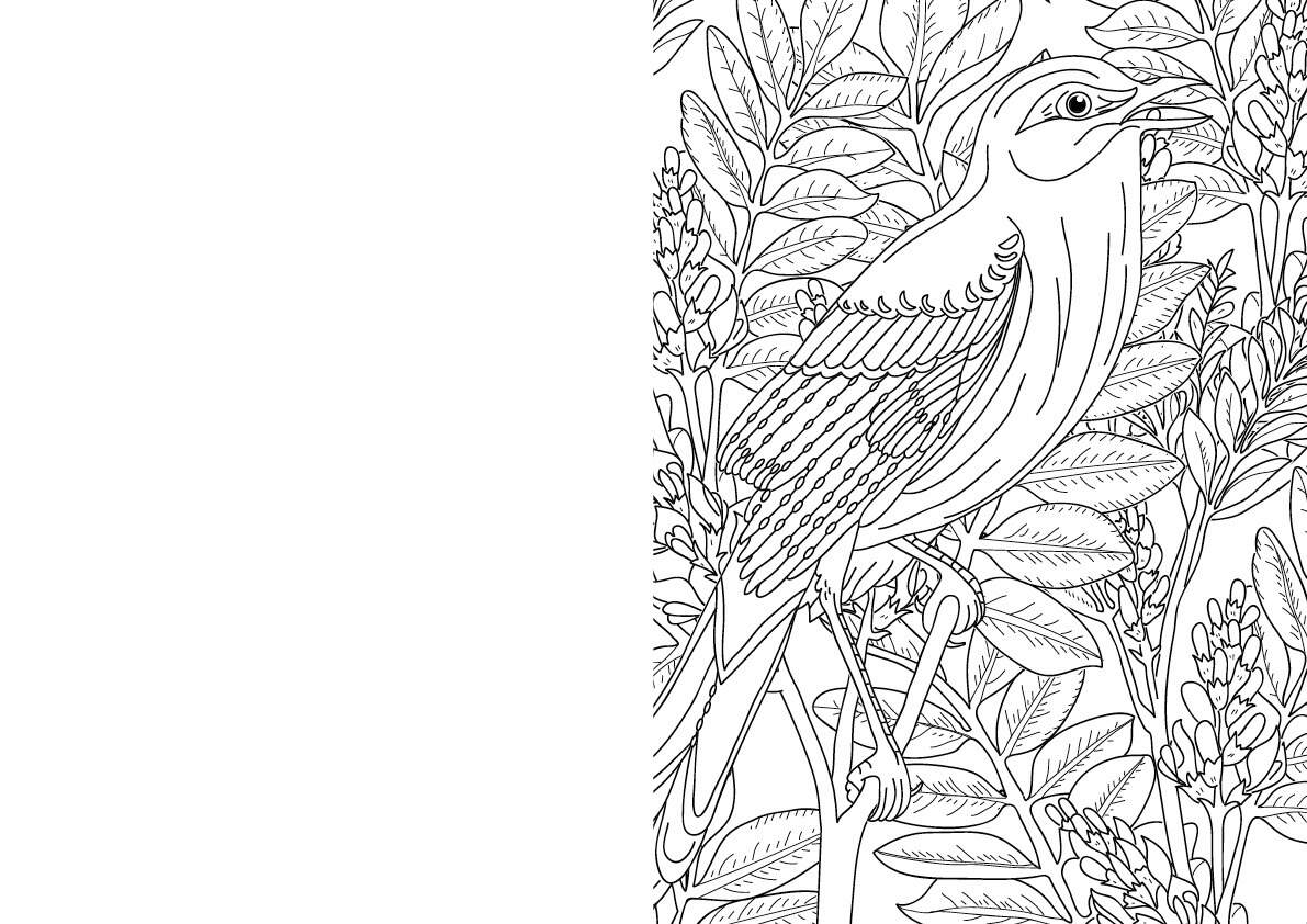 Zen Colouring The Ultimate Collection 2025 Edition GMC Publications